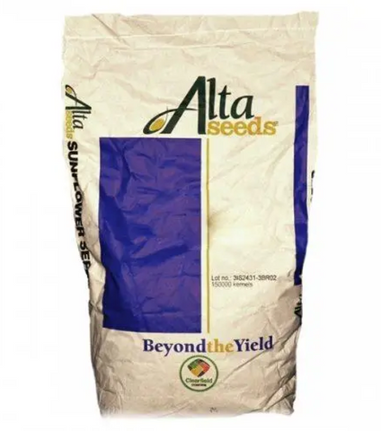 Alta Seeds Хайсан 238 IT