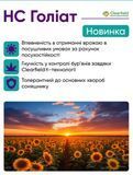 НС Голіат  A-F (стандарт)